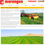 marangon-portfolio-web-design